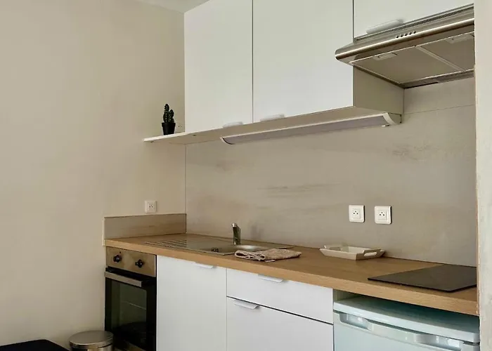 Le Petit Colonel Proche De L'iut - Free Parking Apartmán